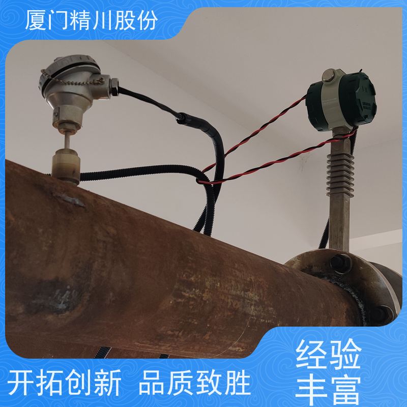 精川股份 皮革厂 导热油流量计 自动计算能量 应用广泛