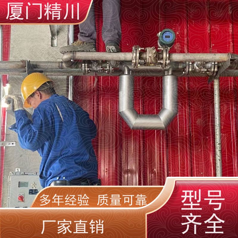 精川股份 制药设备质量流量计 精度0.2级 更放心