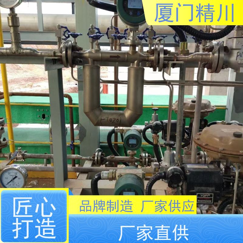 精川 半导体质量流量计 连接方式支持定制 省力