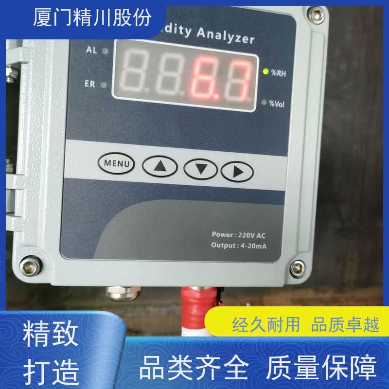 精川股份 染整厂 锅炉烟气湿度仪 探杆316L材质 经久耐用