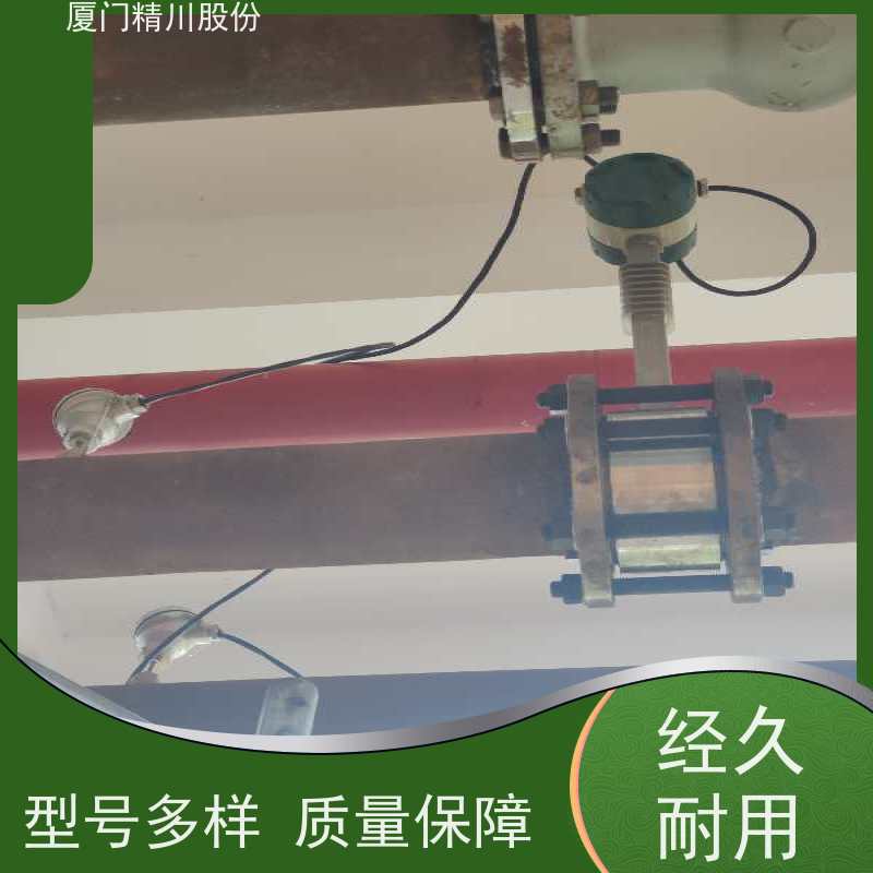 精川股份 鞋材厂 导热油流量计 出厂都会设置好 免费选型