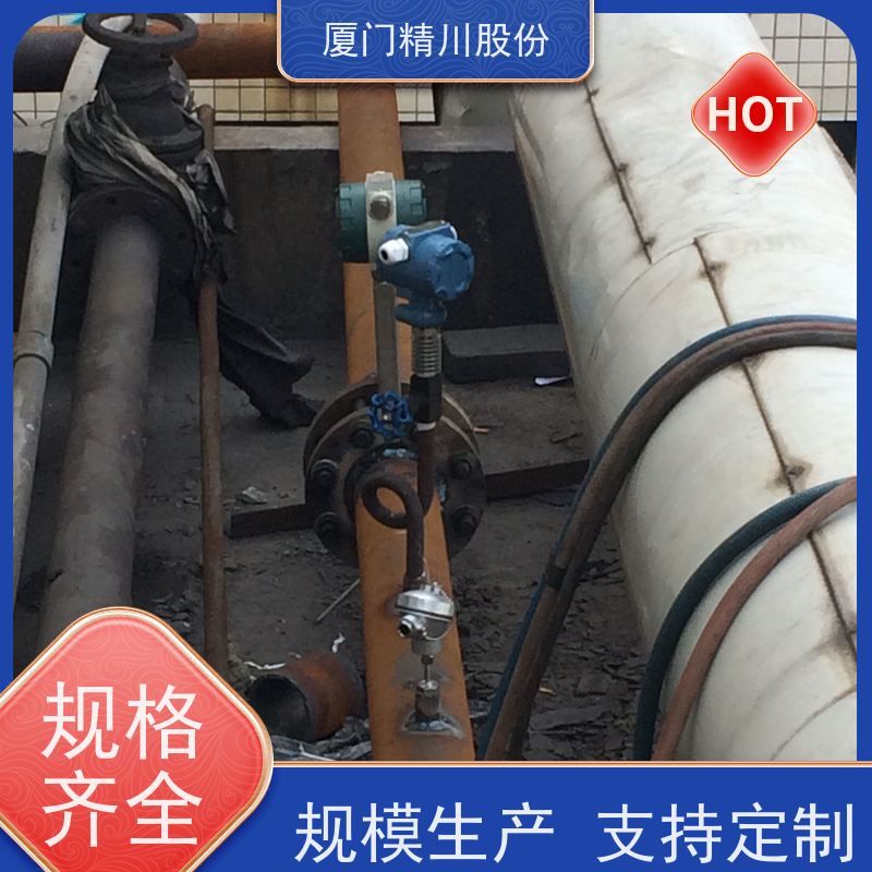 精川股份 纺织厂 锅炉蒸汽流量计 可耐温350度 支持免费选型