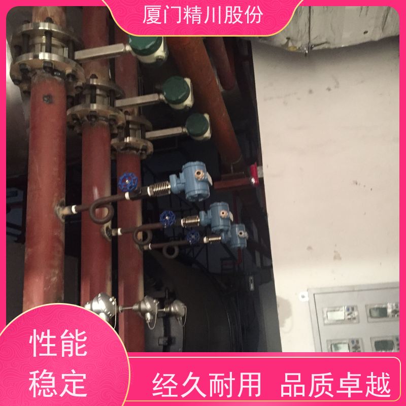 精川股份 人造革厂 气体涡街流量计 一体式温压补偿 支持免费选型