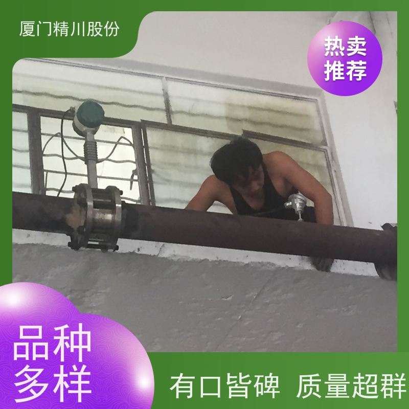 精川股份 橡胶厂 导热油流量计 自动计算能量 安装简单