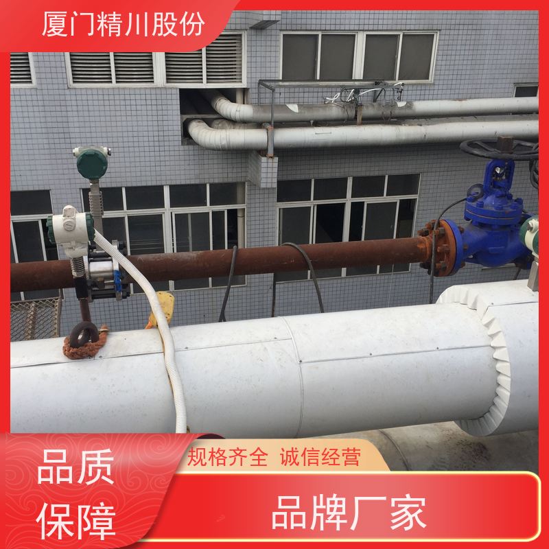 精川股份 橡胶厂 蒸汽涡街流量计 抗震性能好 支持免费选型