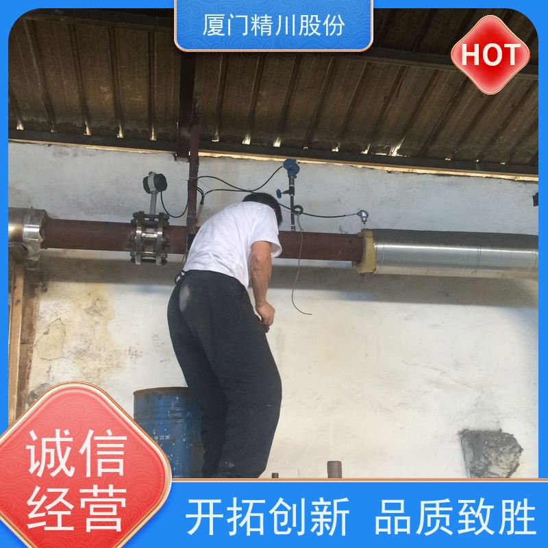 精川股份 合成革厂 液体涡街流量计 一体式温压补偿 应用广泛