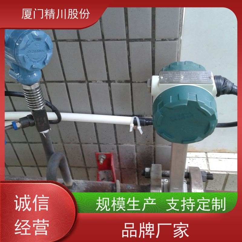 精川股份 电镀厂 涡街流量计 分体式温压补偿 源头生产厂家
