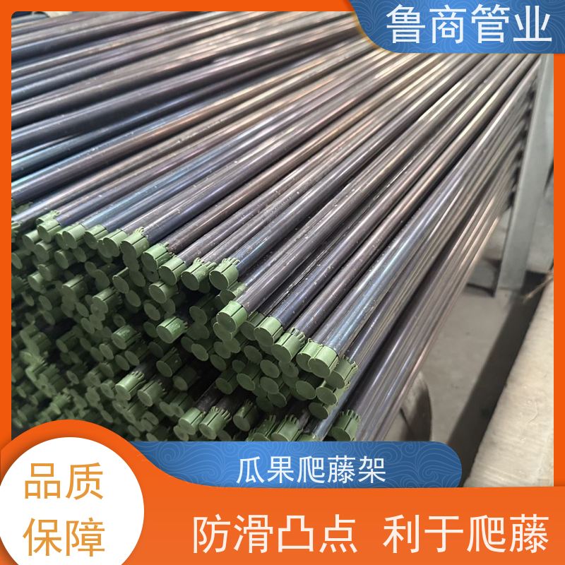 包塑钢管 自由搭建 瓜果爬藤用 一件代发 藤蔓植物支架