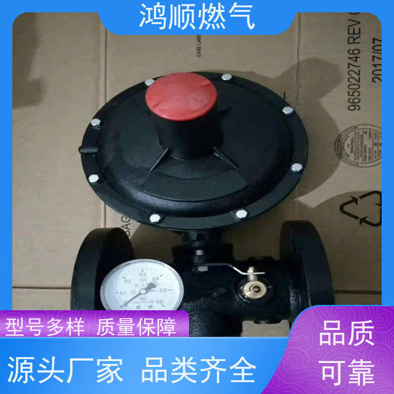 鸿顺 厂家供应 DN100燃气调压器 加固系统强度高 按需定制
