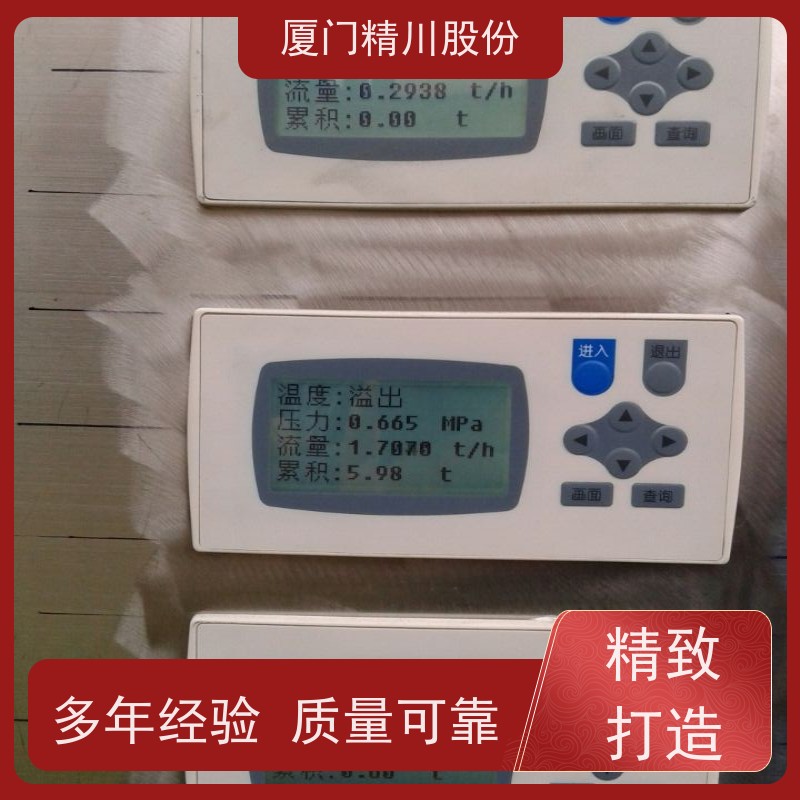 精川股份 食品厂 压缩空气流量计 一体式温压补偿 源头生产厂家