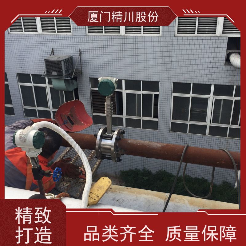 精川股份 PU皮革厂 蒸汽流量计 一体式温压补偿 源头生产厂家