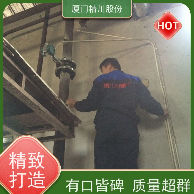 精川股份 食品厂 蒸汽流量计 一体式温压补偿 源头生产厂家