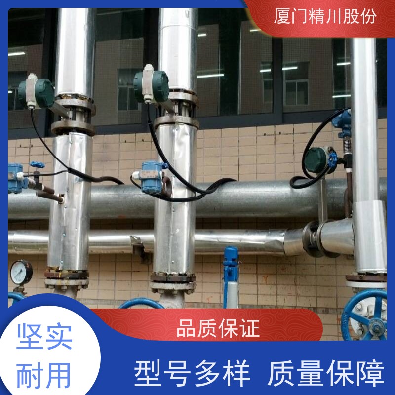 精川股份 橡胶厂 锅炉蒸汽流量计 可耐温350度 服务量少