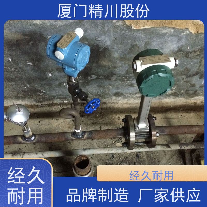 精川股份 电镀厂 压缩空气流量计 分体式温压补偿 应用广泛