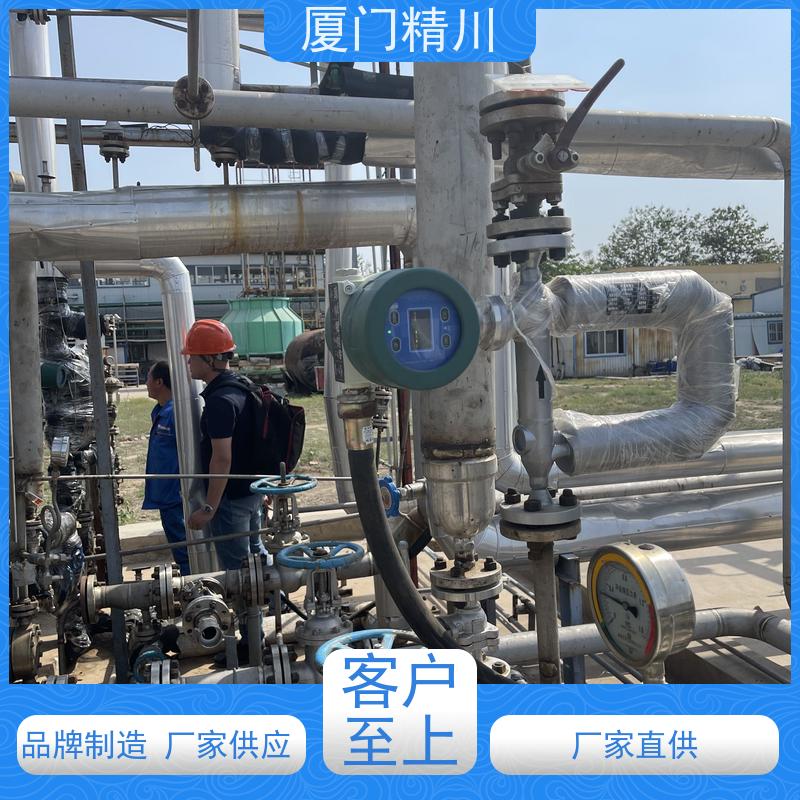 精川 制药厂U型质量流量计 接液316L材质 更耐用