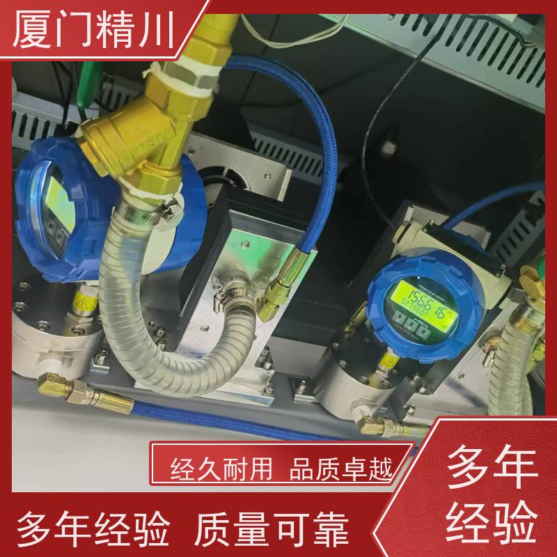 精川 油脂 PEEK材质圆齿轮流量计 每台实标合格出厂 生产十多年