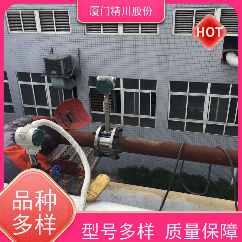 精川股份 造纸厂 锅炉蒸汽流量计 测量精度高 维护量少