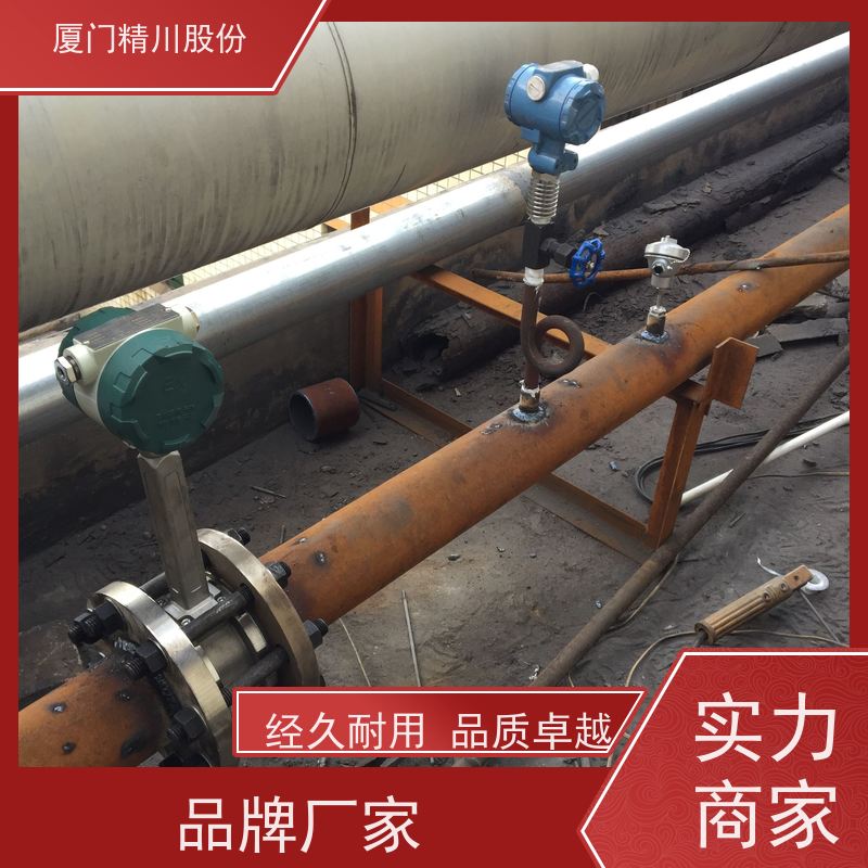 精川股份 电镀厂 饱和蒸汽流量计 一体式温压补偿 应用广泛