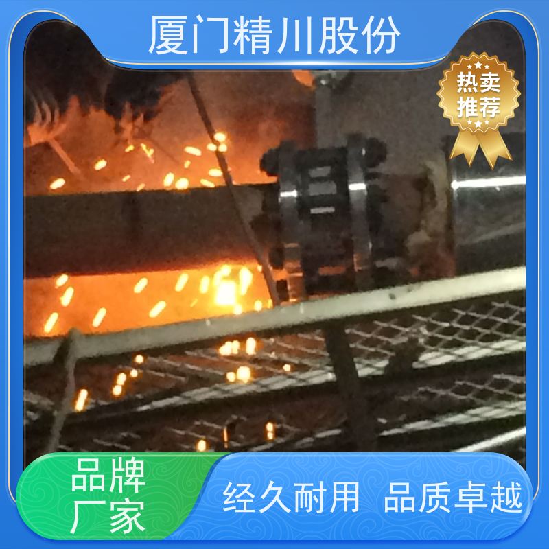 精川股份 电镀厂 蒸汽流量计 分体式温压补偿 源头生产厂家