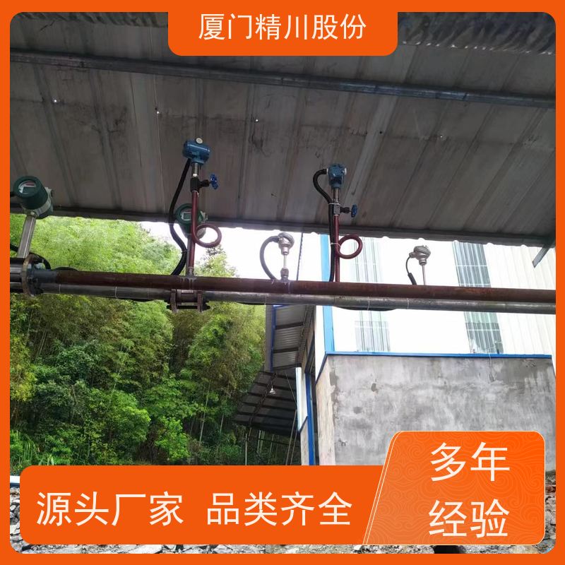 精川股份 染整厂 过热蒸汽流量计 测量精度高 源头生产厂家