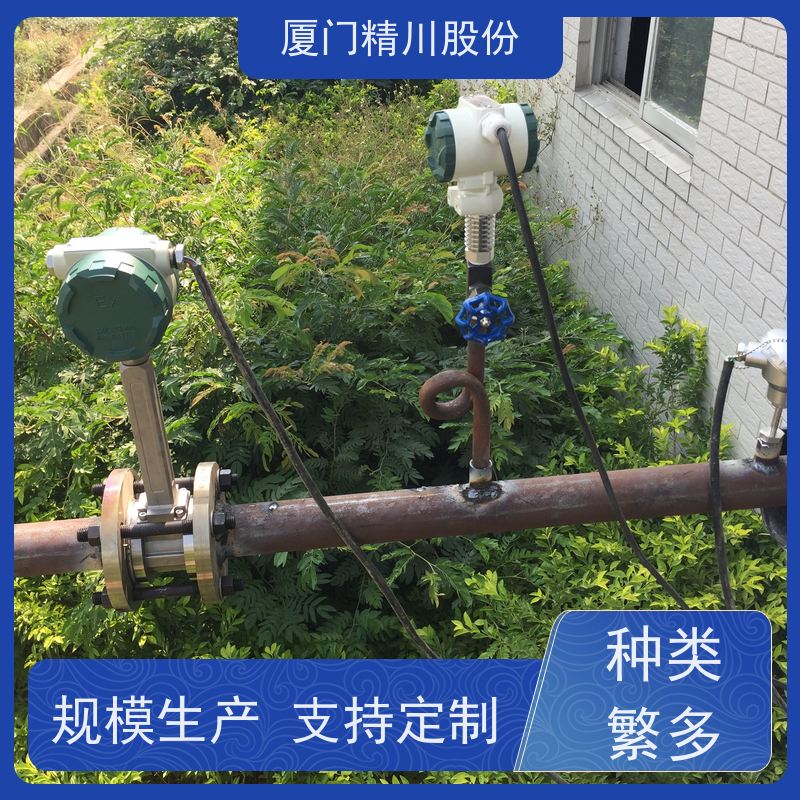 精川股份 食品厂 蒸汽流量计 测量精度高 支持免费选型