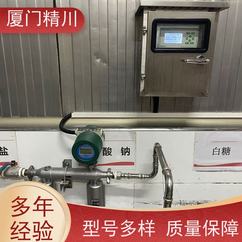 精川 大学实验室U型质量流量计 连接方式支持定制 省心