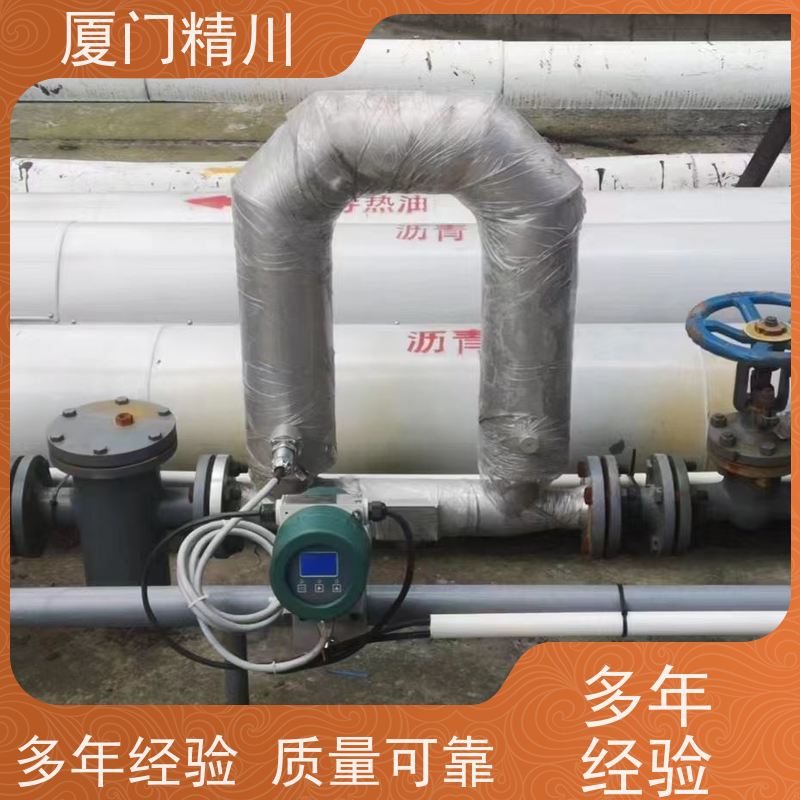 精川股份 锂电行业质量流量计 连接方式支持定制 有保障
