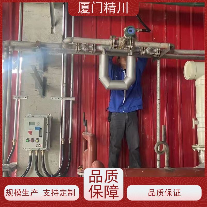 精川股份 半导体微弯质量流量计 连接方式支持定制 更耐用