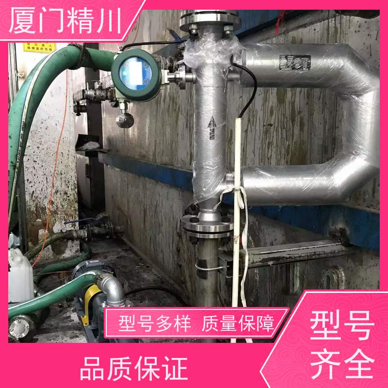 精川股份 锂电行业小口径质量流量计 连接方式支持定制 有保障