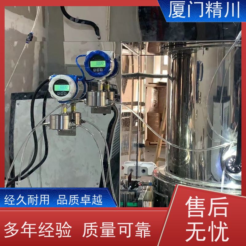 精川股份 油用 PEEK材质圆齿轮流量计 安装无需前后直管段 保证品质
