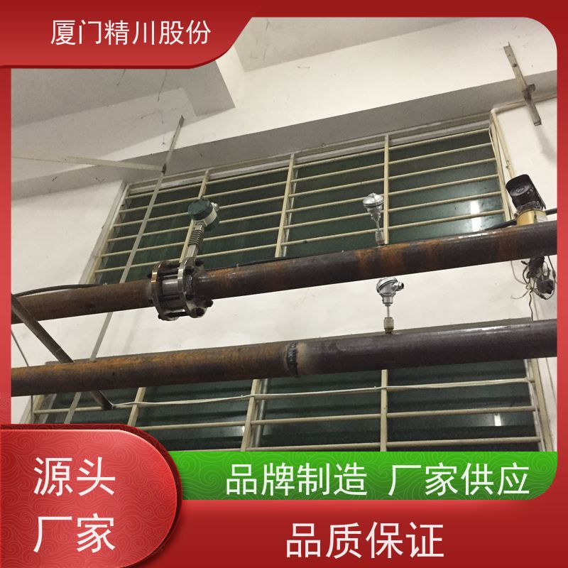 精川股份 皮革厂 导热油炉流量计 自动计算能量 现场案例多