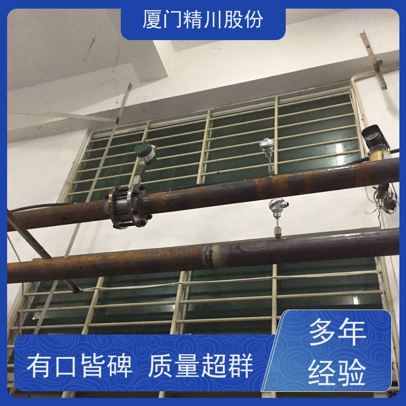 精川股份 人造革厂 导热油炉流量计 精度高 现场案例多