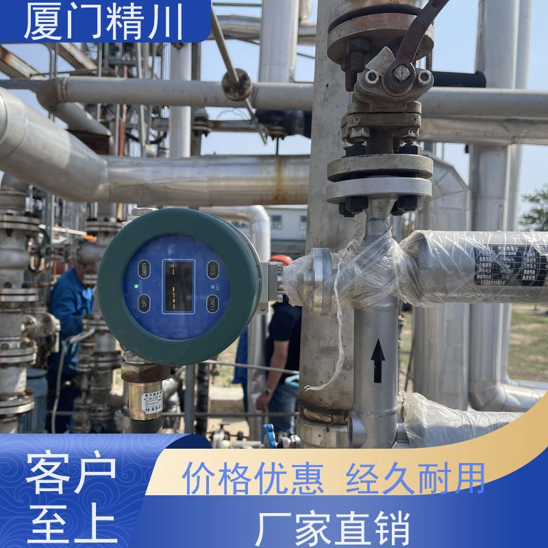 精川 半导体科氏力质量流量计 连接方式支持定制 有保障