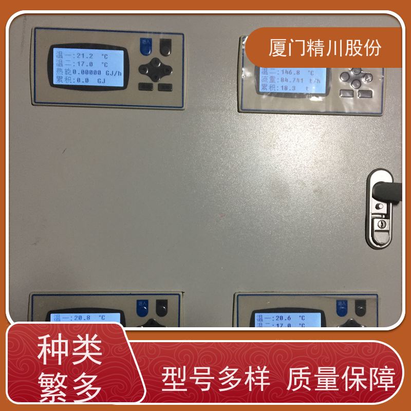 精川股份 染整厂 导热油炉流量计 自动计算能量 经久耐用