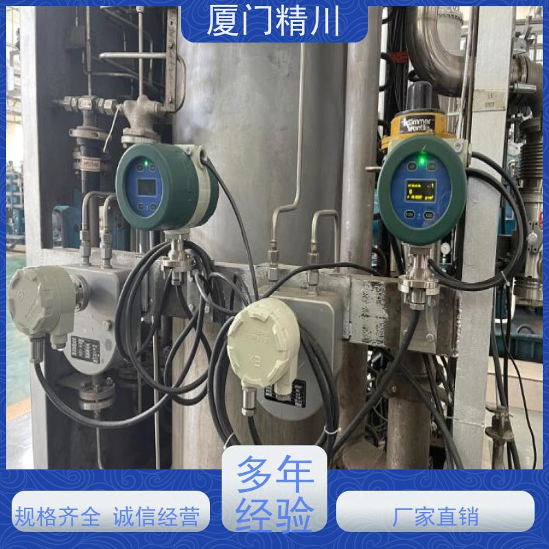 精川 制药设备质量流量计 连接方式支持定制 省力