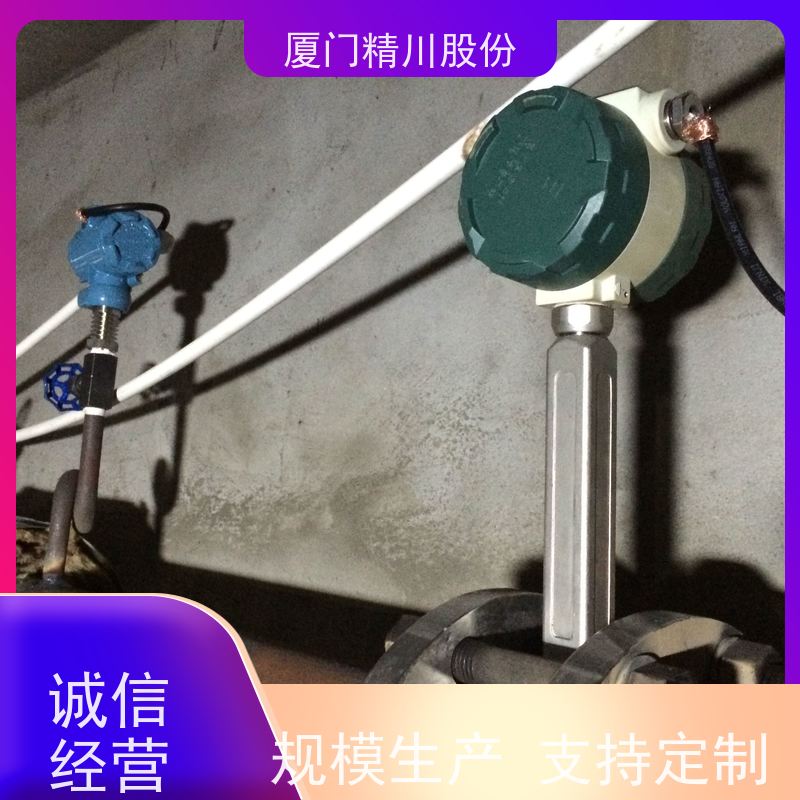 精川股份 饲料厂 蒸汽涡街流量计 工作时间长 应用广泛