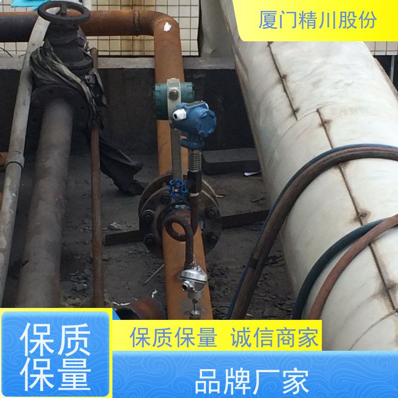 精川股份 制药厂 锅炉蒸汽流量计 工作时间长 应用广泛