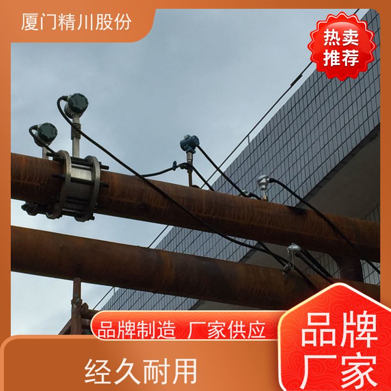 精川股份 橡胶厂 导热油炉流量计 精度高 应用广泛