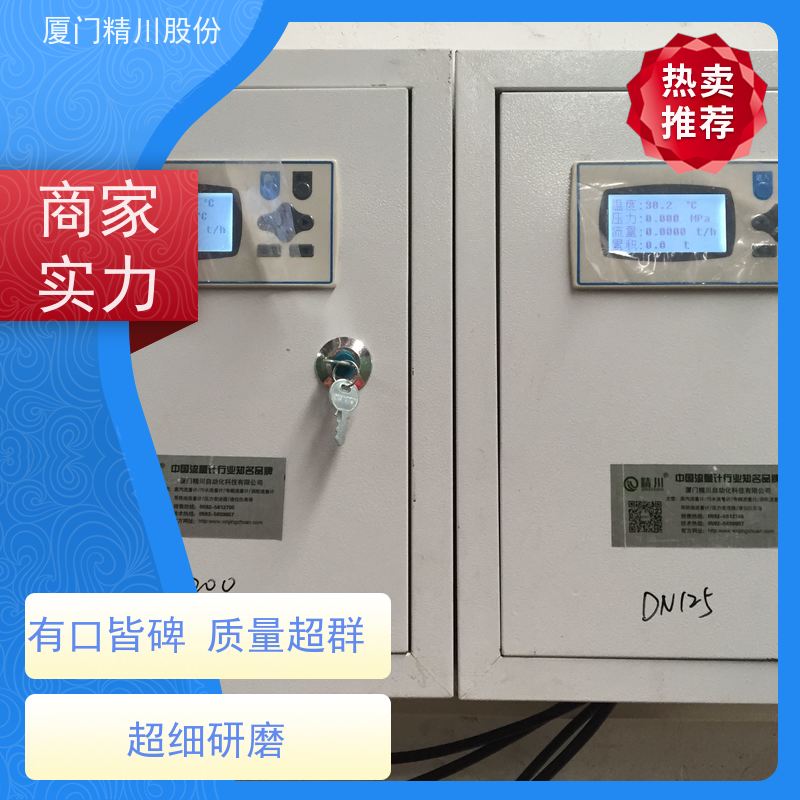 精川股份 合成革厂 导热油热能表 精度高 品质可靠