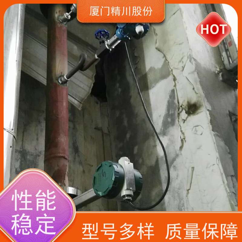 精川股份 染整厂 蒸汽涡街流量计 一体式温压补偿 支持免费选型