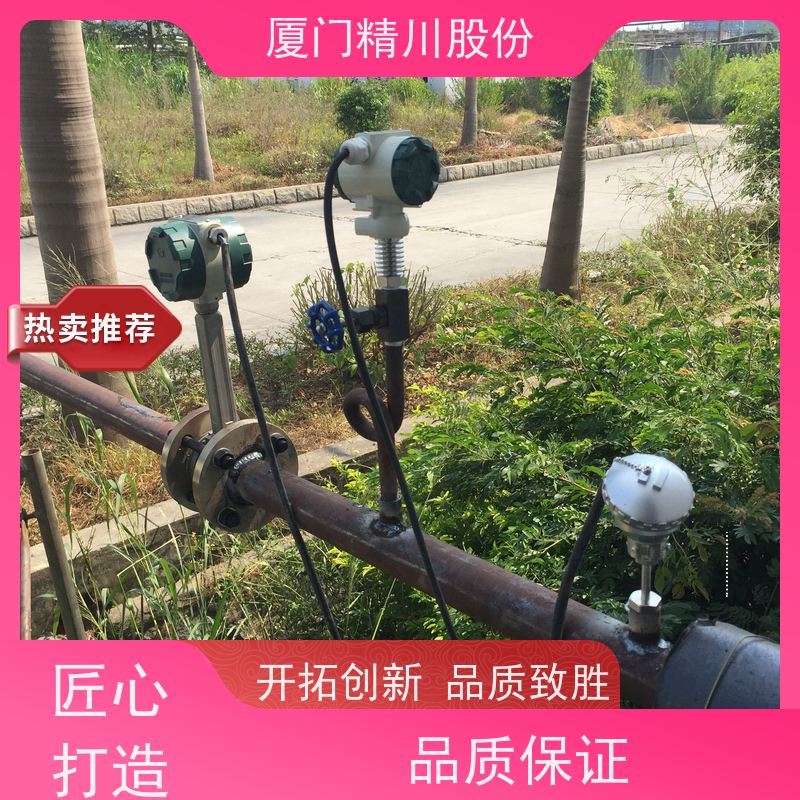 精川股份 橡胶厂 气体涡街流量计 可耐温350度 应用广泛