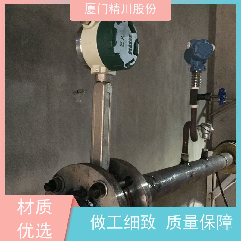 精川股份 染整厂 涡街蒸汽流量计 抗震性能好 支持免费选型