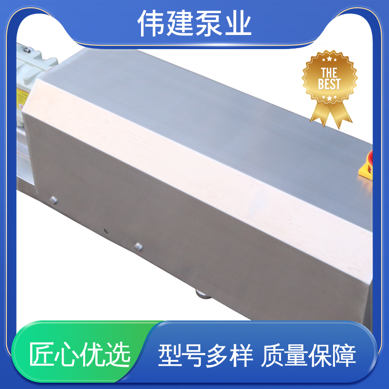 伟建 316不锈钢材质 蜂蜜糖蜜定量灌装泵 耐腐蚀耐高温 运行噪音小