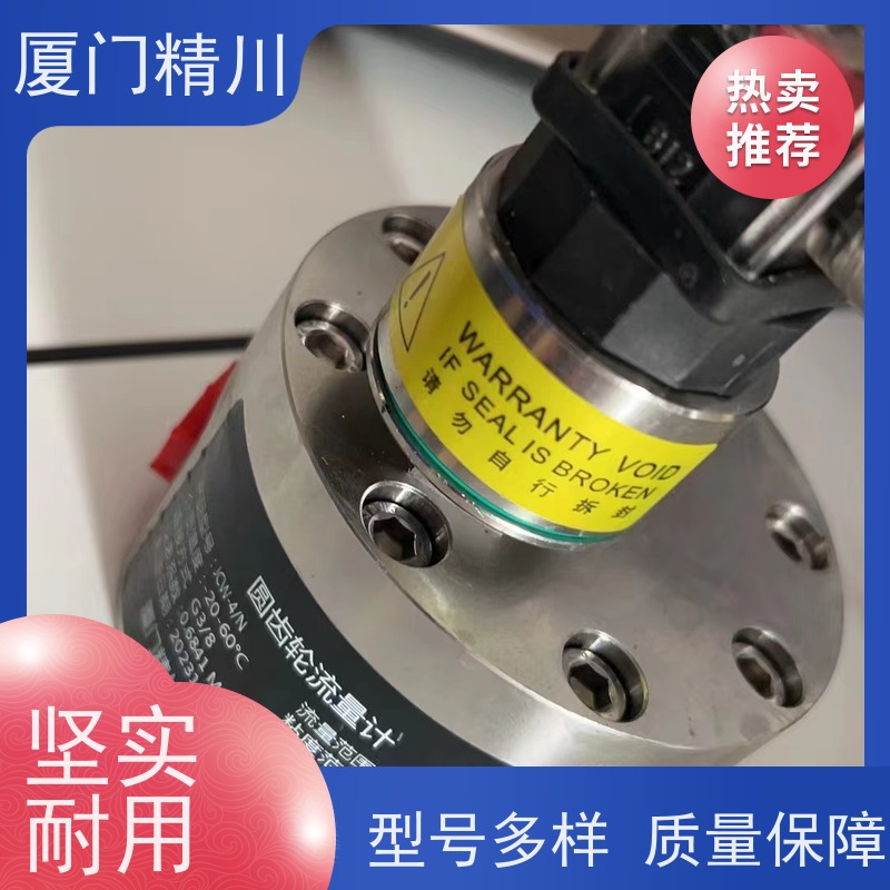 精川 加药控制 不锈钢齿轮流量计 每台实标合格出厂 坚守品质