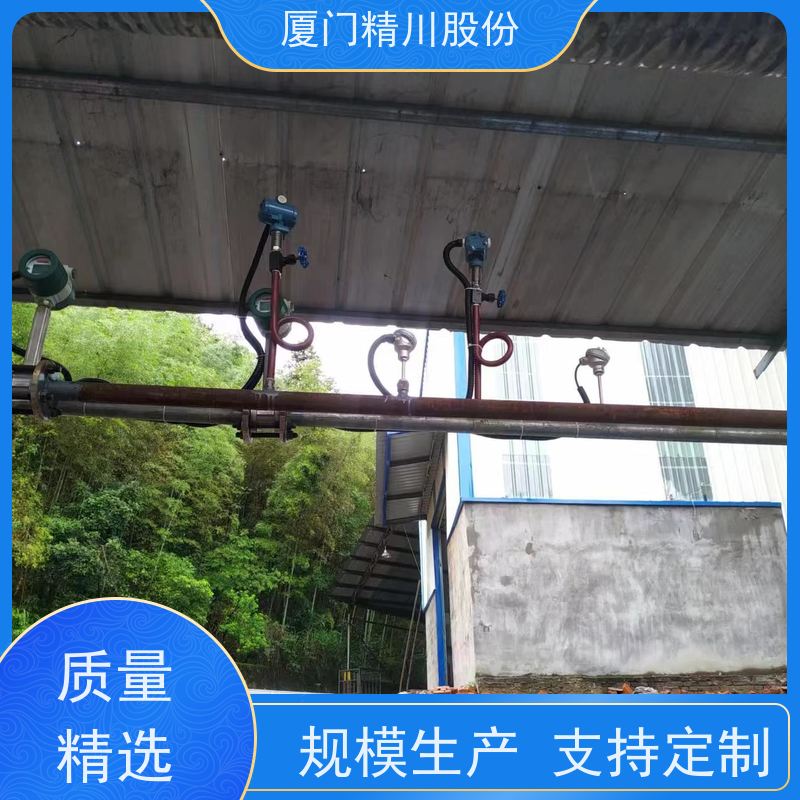 精川股份 造纸厂 导热油涡街流量计 可耐温350度 源头生产厂家