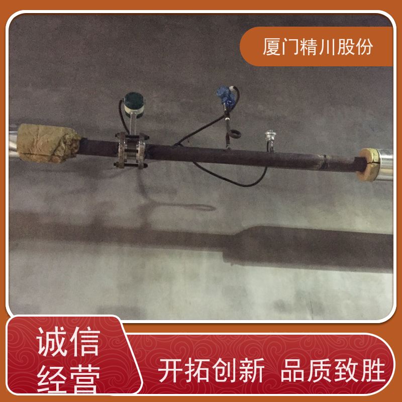 精川股份 染整厂 压缩空气流量计 抗震性能好 维护量少