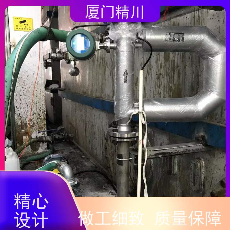 精川股份 制药设备小口径质量流量计 精度0.2级 有保障