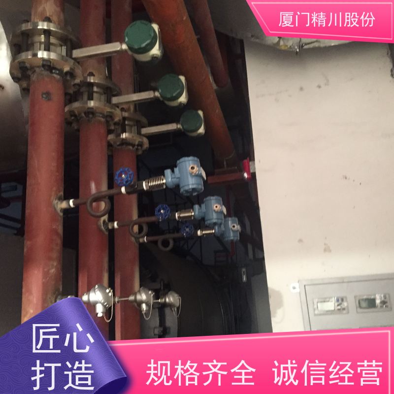精川股份 橡胶厂 蒸汽流量计 测量精度高 服务量少