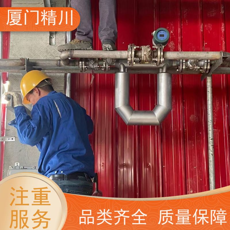 精川 设备配套小口径质量流量计 支持定制 省心