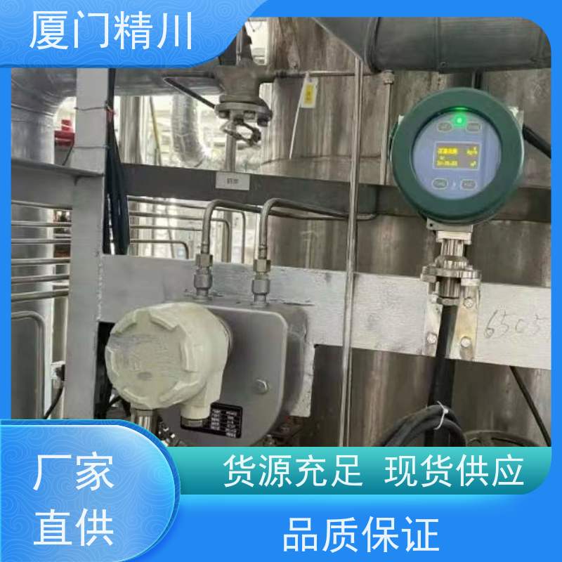 精川 锂电行业科里奥利质量流量计 连接方式支持定制 有保障